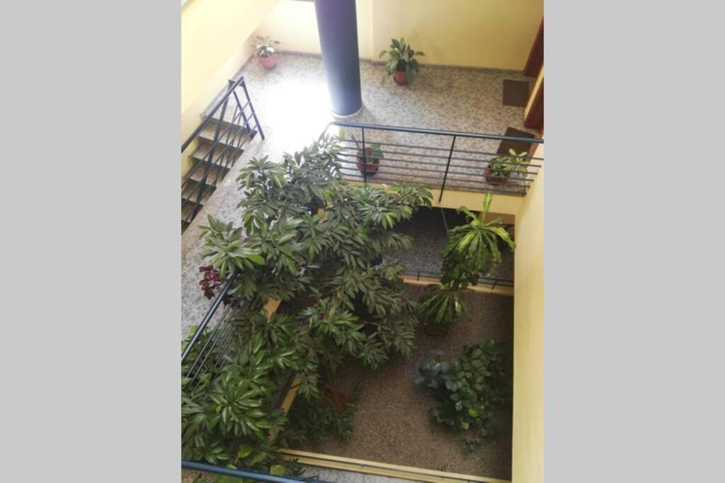Bonito Y Amplio Piso En Los Llanos De Aridane Εξωτερικό φωτογραφία