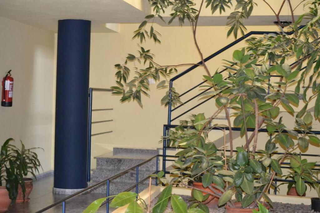 Bonito Y Amplio Piso En Los Llanos De Aridane Εξωτερικό φωτογραφία