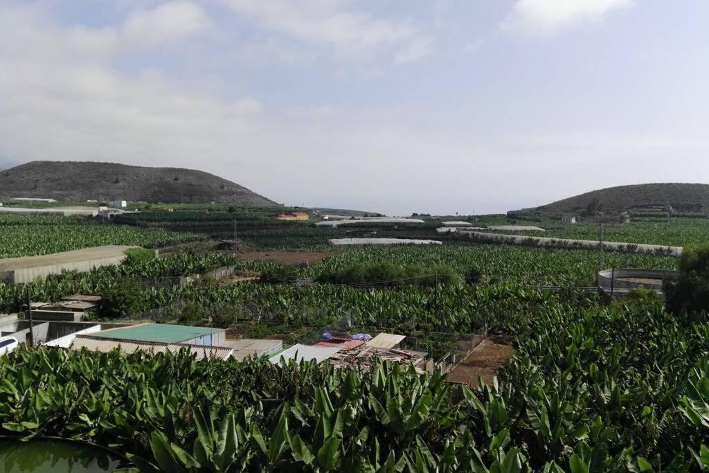 Bonito Y Amplio Piso En Los Llanos De Aridane Εξωτερικό φωτογραφία