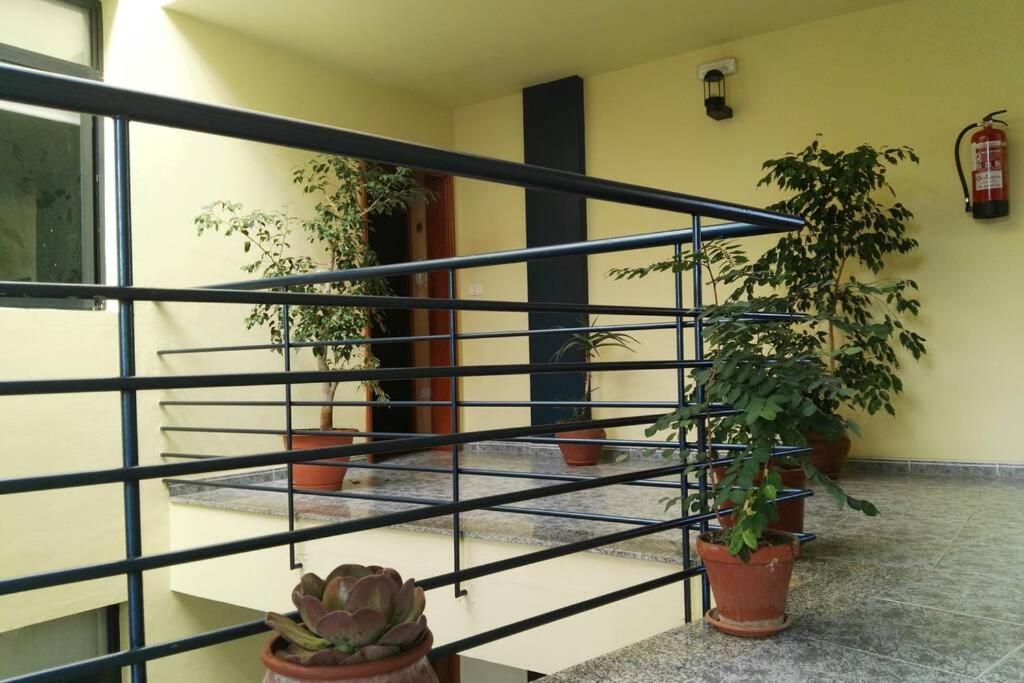 Bonito Y Amplio Piso En Los Llanos De Aridane Εξωτερικό φωτογραφία